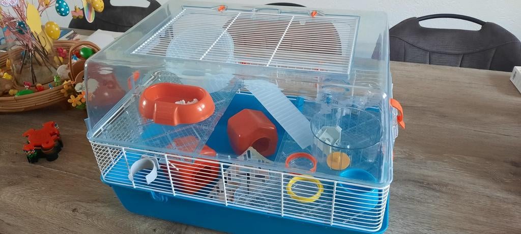 Hamsterkooi, Kooi, Minder dan 75 cm, Zo goed als nieuw, Hamster