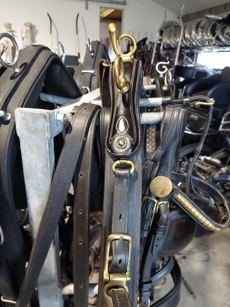 Enkelspan concours tuig, Dieren en Toebehoren, Paarden en Pony's | Hoofdstellen en Tuigage, Ophalen of Verzenden, Gebruikt, Overige soorten
