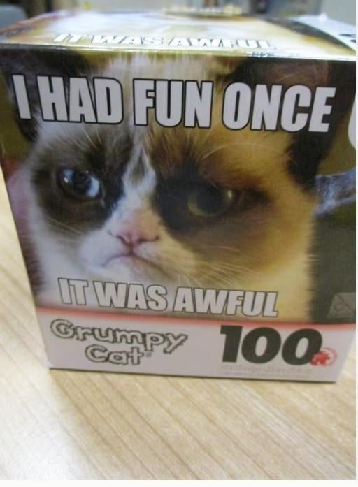 GRUMPY CAT I HAD FUN ONCE I WAS AWFUL PUZZEL NIEUW, Verzenden, Minder dan 500 stukjes, Nieuw, Overige typen