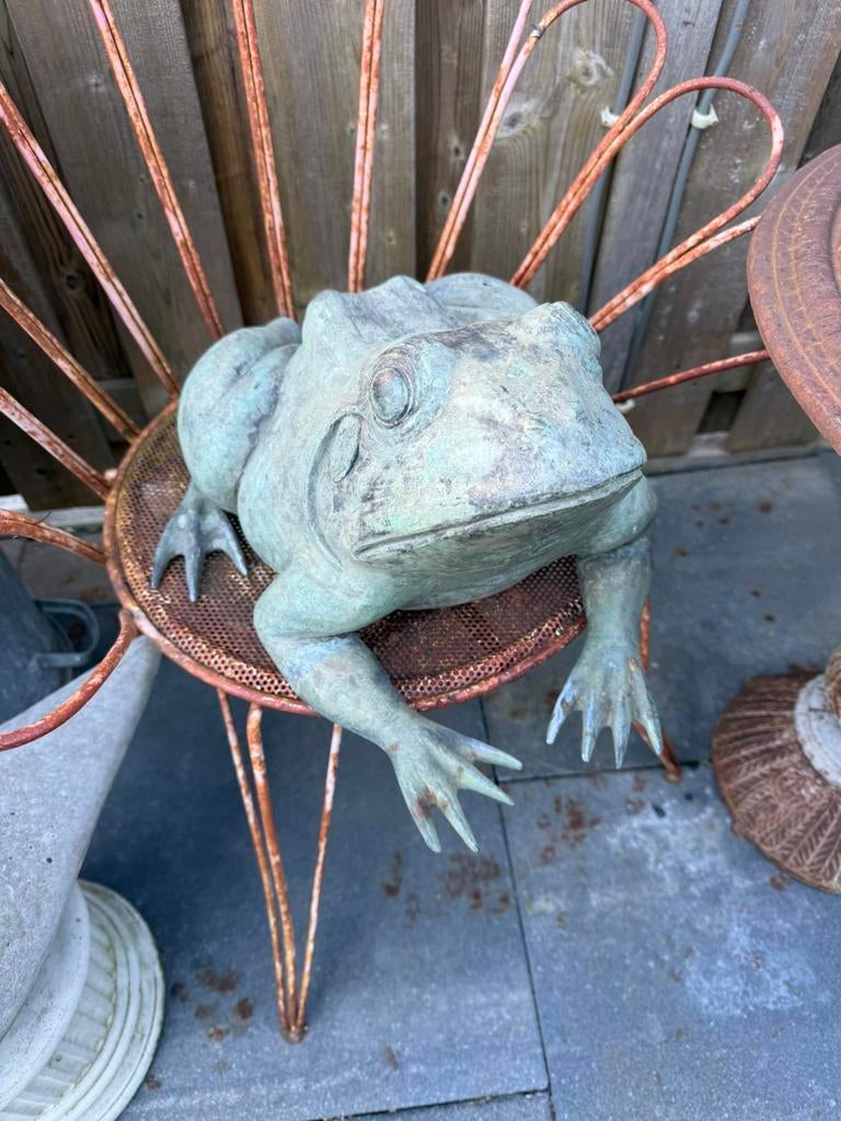 Bronzen kikker 40x50 cm zwaar en gaaf, Ophalen, Zo goed als nieuw