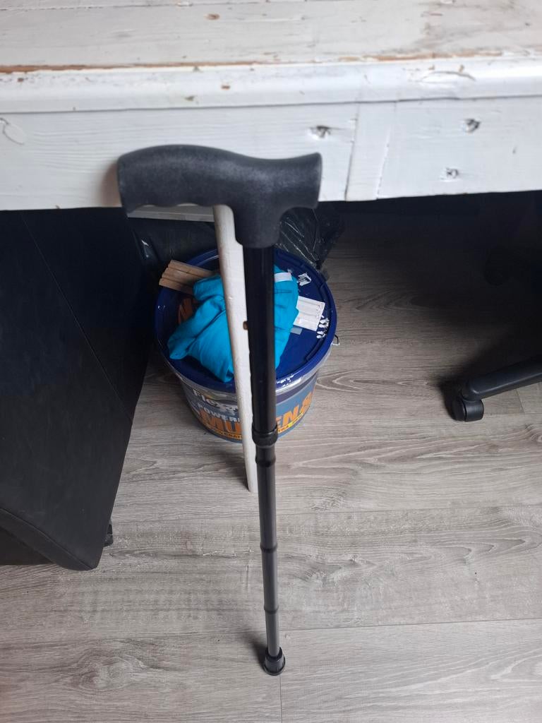 Wandelstok, Diversen, Wandelstokken, Ophalen