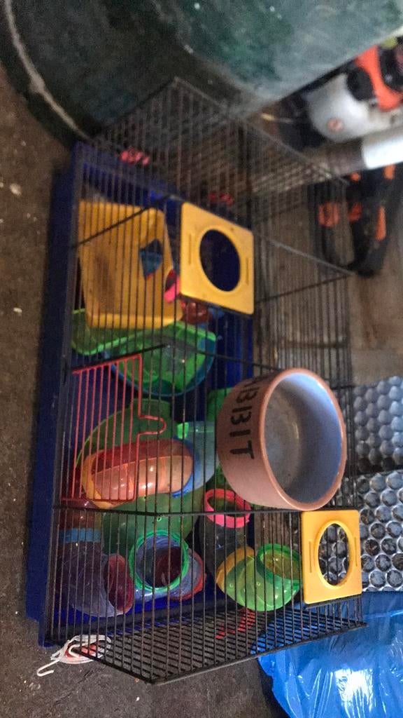 Hamster kooi, Dieren en Toebehoren, Kooi, Gebruikt, Minder dan 75 cm, Hamster