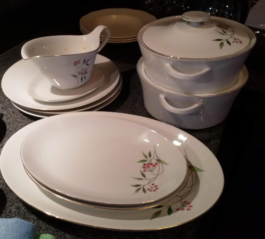 Servies Winterling Bavaria BIEDEN, Ophalen, Gebruikt, Overige typen, Overige stijlen