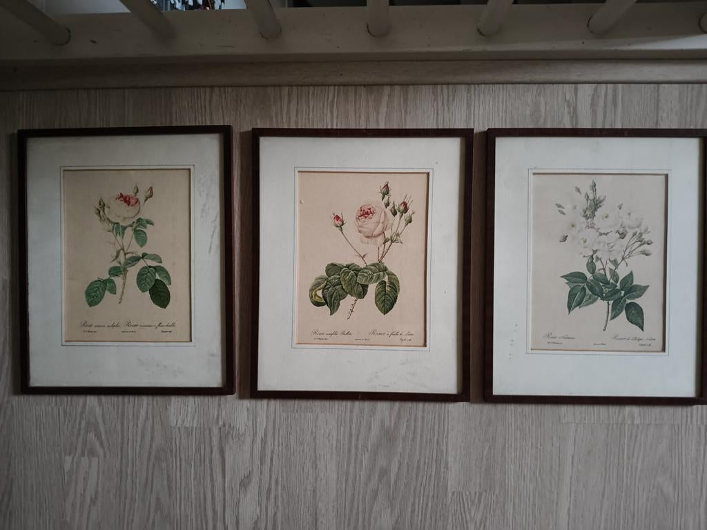 3 mooie tekeningen van rozen in lijst., Antiek en Kunst, Kunst | Schilderijen | Klassiek, Ophalen of Verzenden