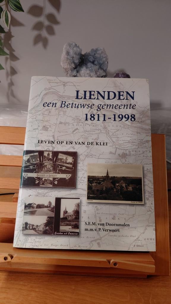 Lienden: Een Betuwse Gemeente 1811-1998, Boeken, Geschiedenis | Stad en Regio, Ophalen of Verzenden, 19e eeuw, Zo goed als nieuw