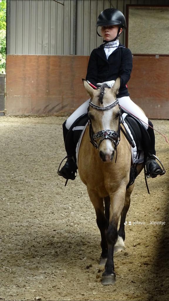 Verzorg pony gezocht verzorger aangeboden!, Ophalen of Verzenden, Nieuw