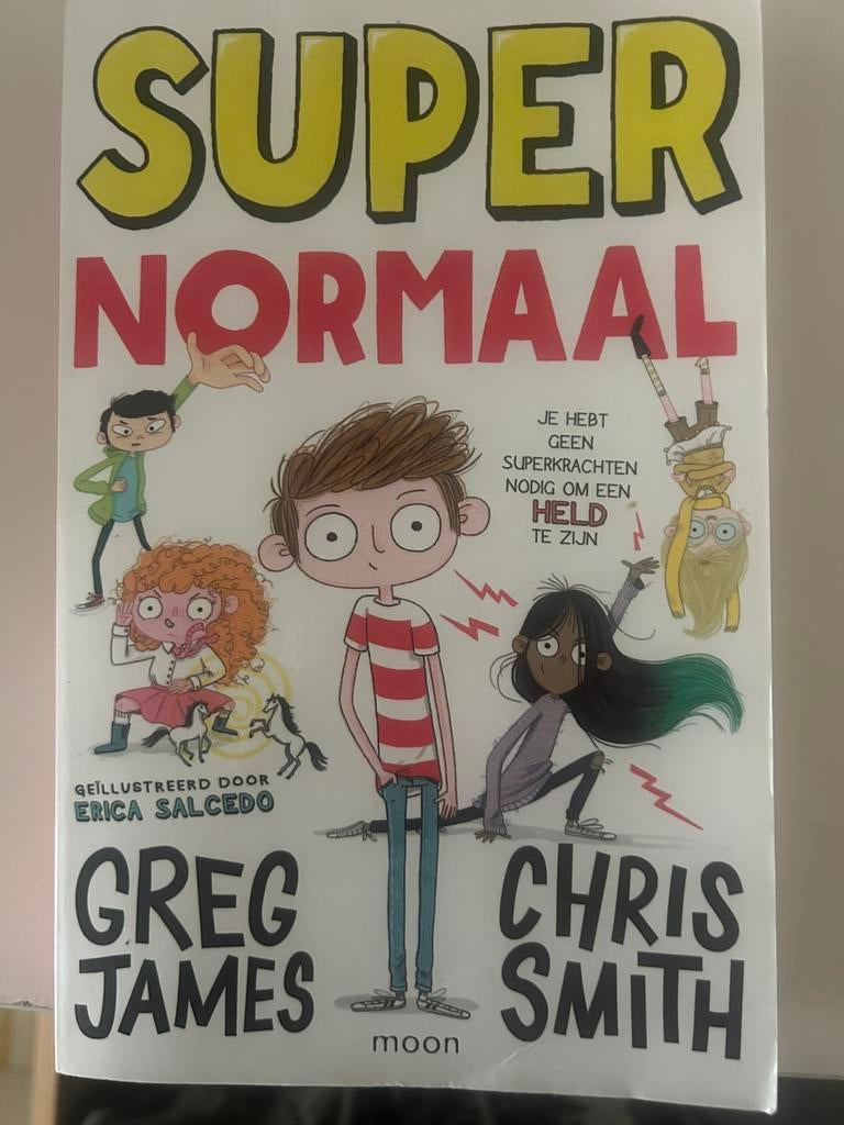 SUPER NORMAAL boek, Boeken, Ophalen of Verzenden, Zo goed als nieuw