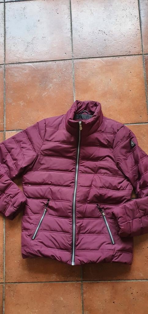 GAASTRA BORDEAUX RODE DONSJAS DAMES MAAT XL, Gaastra, Maat 46/48 (XL) of groter, Nieuw, Ophalen of Verzenden