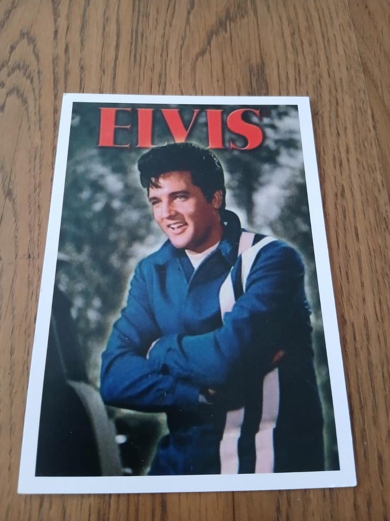 FOTOKAART  ELVIS PRESLEY   8, Ophalen of Verzenden, Zo goed als nieuw, Foto of Kaart