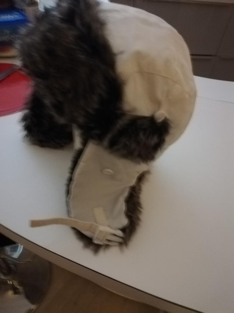 Nieuwe Eskimo muts, Kleding | Dames, Ophalen of Verzenden, Nieuw, One size fits all