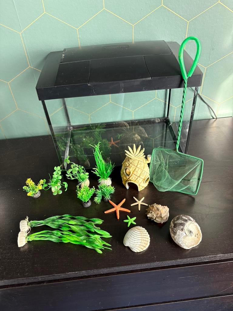 Aquarium, Dieren en Toebehoren, Ophalen, Zo goed als nieuw, Leeg aquarium