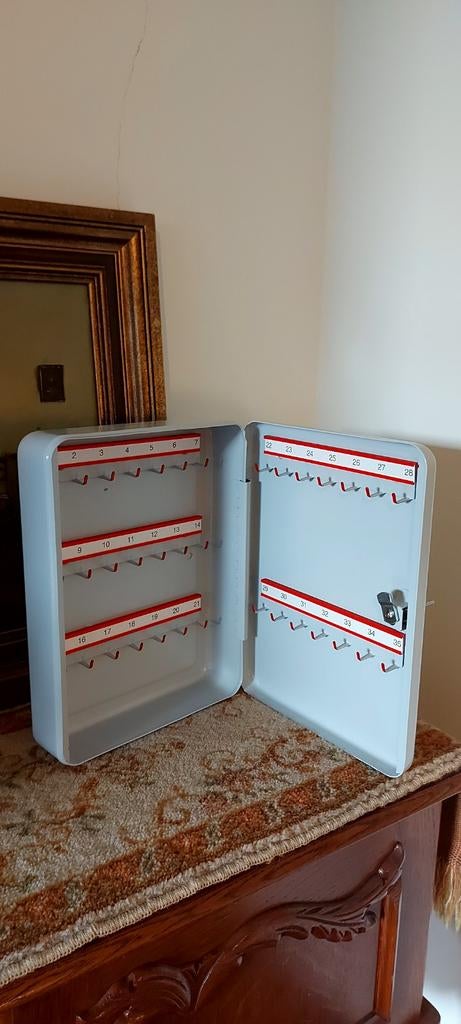 Emaile Burgwachter sleutelkluis - sleutelkast 35 haken, Ophalen of Verzenden, Zo goed als nieuw