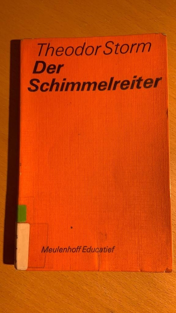 Der schimmelreiter - Theodor Storm, Ophalen of Verzenden