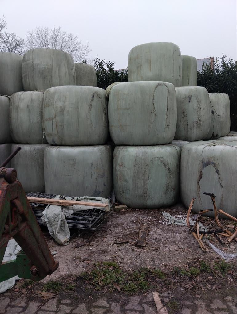 Te koop ronde balen kuilgras eerste en tweede snede gesneden, Dieren en Toebehoren, Dierenvoeding, Ophalen, Vee