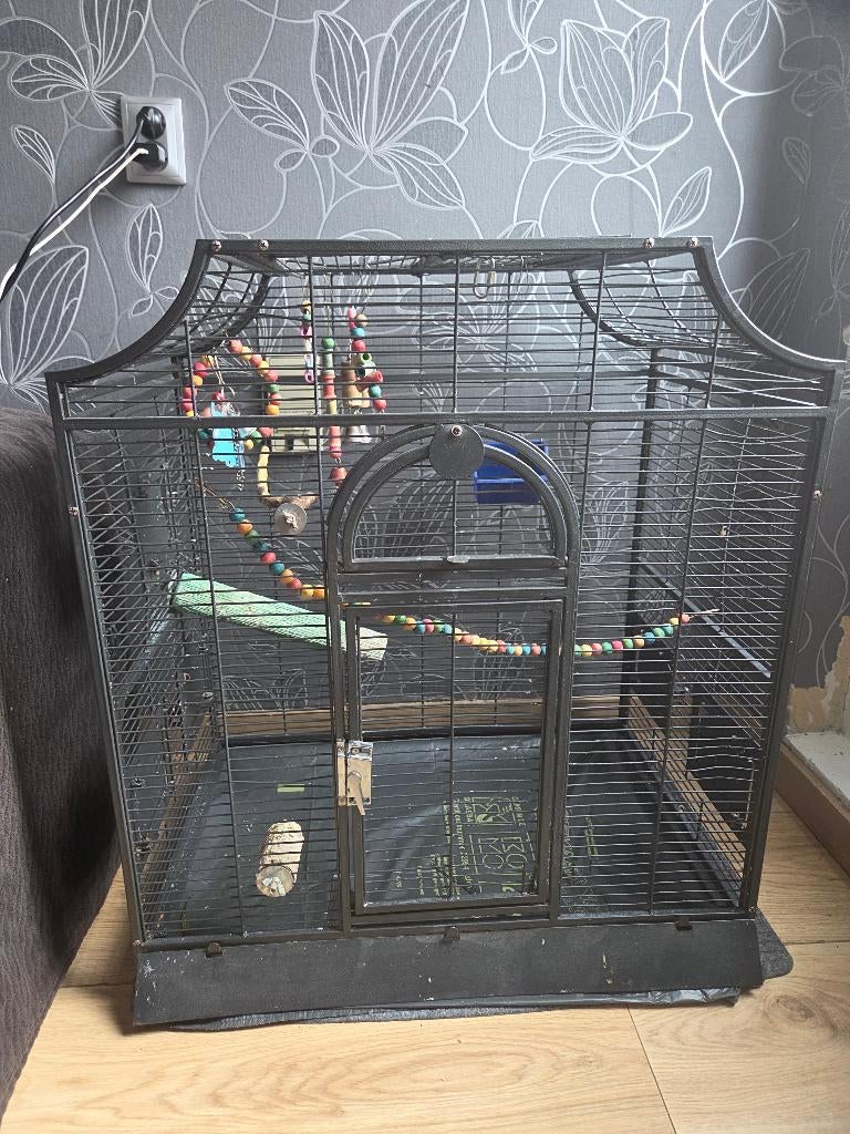 Vogelkooi, Ophalen, Zo goed als nieuw, Metaal, Vogelkooi