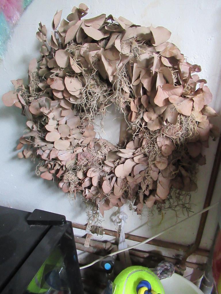 oude gedroogde EUCALYPTUS KRANS + wit LINT / no. 2, Huis en Inrichting, Woonaccessoires | Kransen, Gebruikt, Ophalen of Verzenden