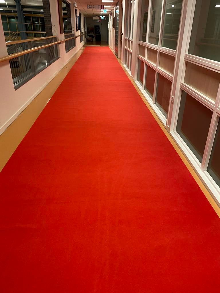 Rode loper, Ophalen of Verzenden, Rechthoekig, 200 cm of meer, 50 tot 100 cm