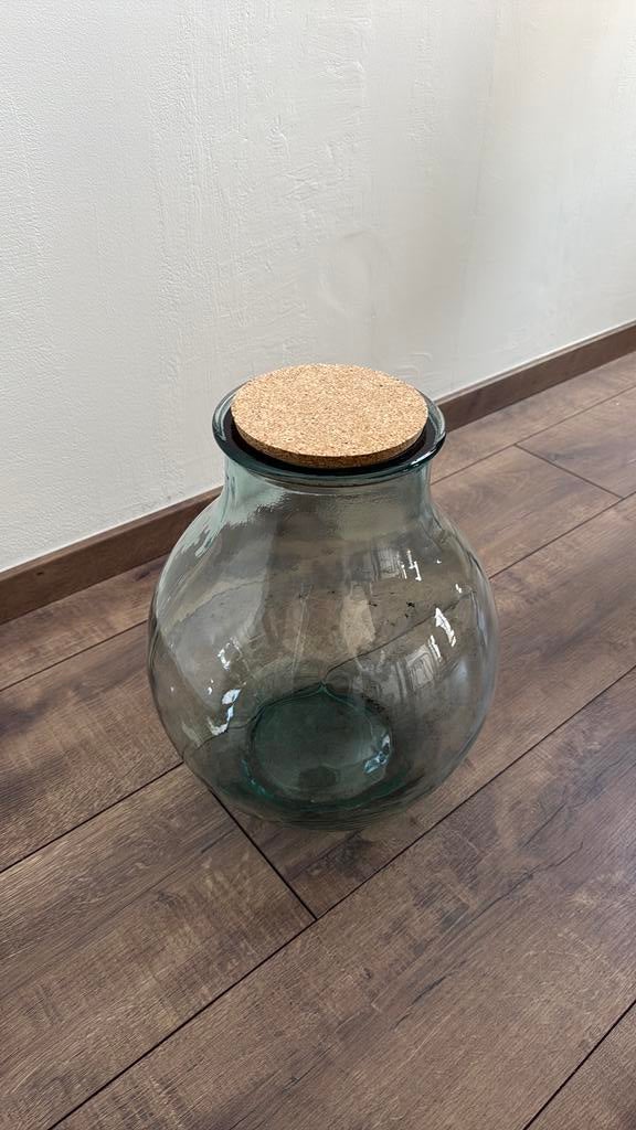 Grote terrarium vaas / plantenpot met kurk deksel, Ophalen, Overige kleuren, Minder dan 50 cm, Glas