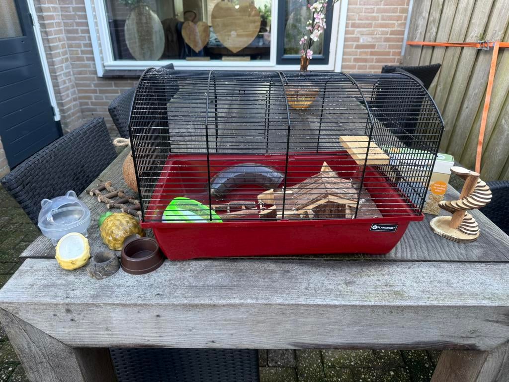 Te koop (dwerg) hamster kooi, Kooi, Gebruikt, Minder dan 75 cm, Hamster