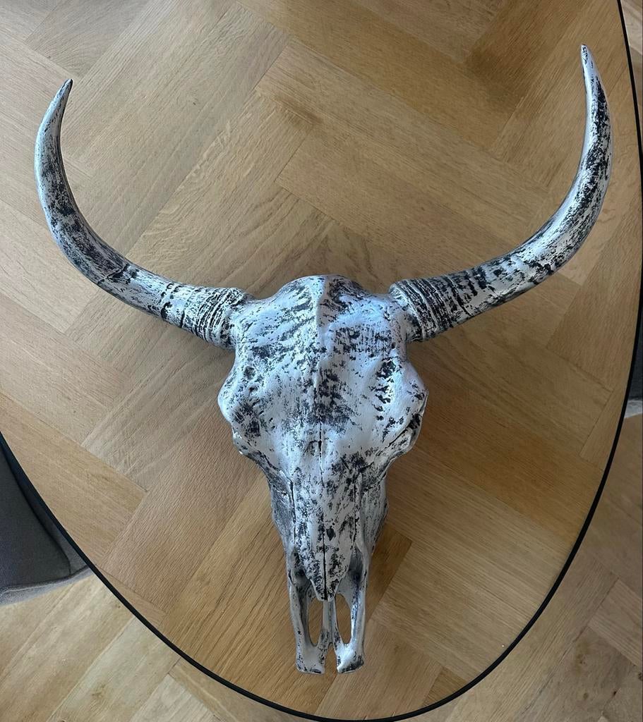 Decoratieve buffel schedel muurdecoratie zilver, Ophalen of Verzenden, Zo goed als nieuw