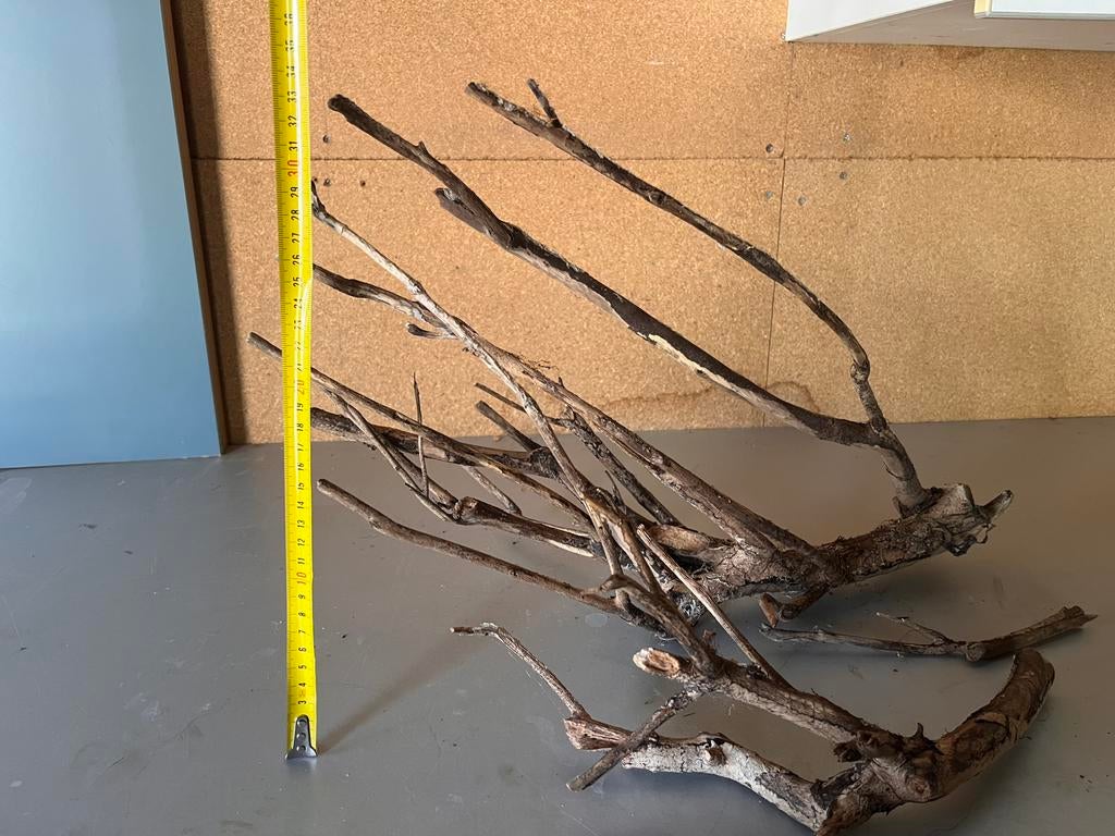 Talawa hout, Dieren en Toebehoren, Vissen | Aquaria en Toebehoren, Ophalen of Verzenden, Zo goed als nieuw, Plant(en), Steen of Hout