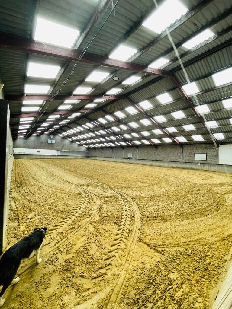 pensionstalling aangeboden, Stalling, 4 paarden of pony's of meer