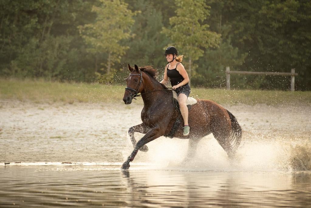 Super brave 12 jarige allrounder, Lord Leatherdale x Negro, Dieren en Toebehoren, 175 cm of meer, Ruin, Dressuurpaard, 11 jaar of ouder