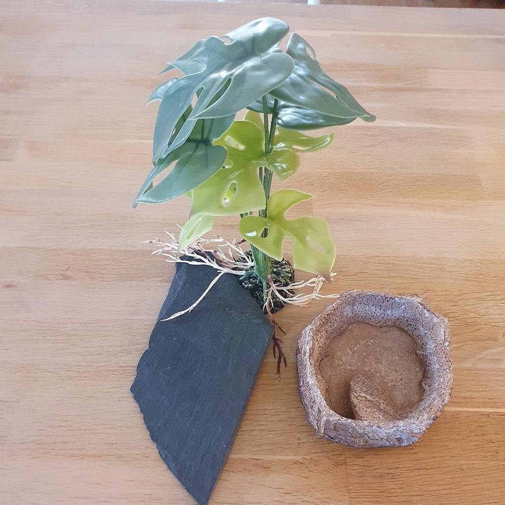 Reptielen nep plant, steen en drinkbak, Dieren en Toebehoren, Ophalen of Verzenden, Zo goed als nieuw, Tak, Plant, Rots of Steen