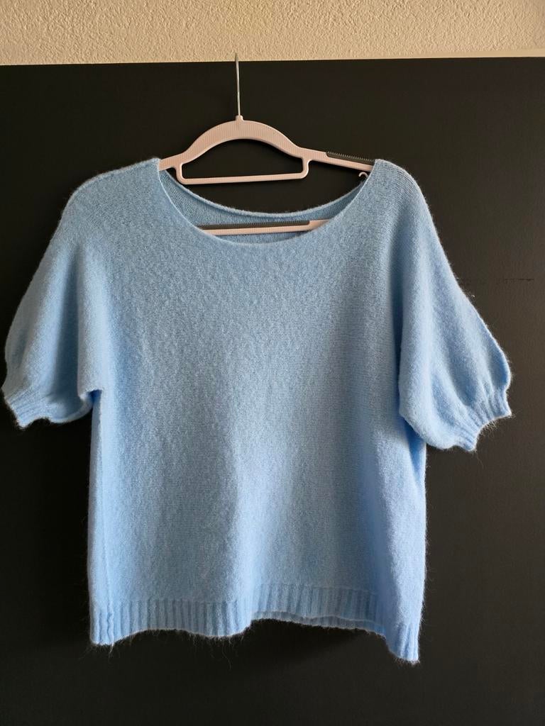 Nieuw alpacawol truitje 38 40 42, Kleding | Dames, Ophalen of Verzenden, Nieuw, Maat 38/40 (M), Blauw