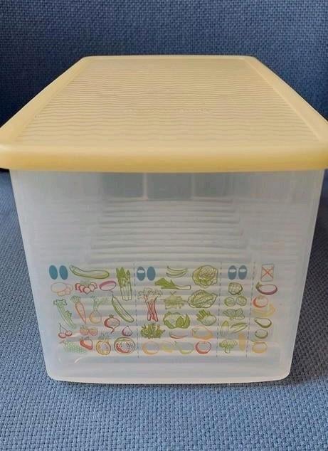 Vershoud koelkast doos 30x15x13 cm tupperware €10,00, Ophalen of Verzenden, Nieuw, Overige typen