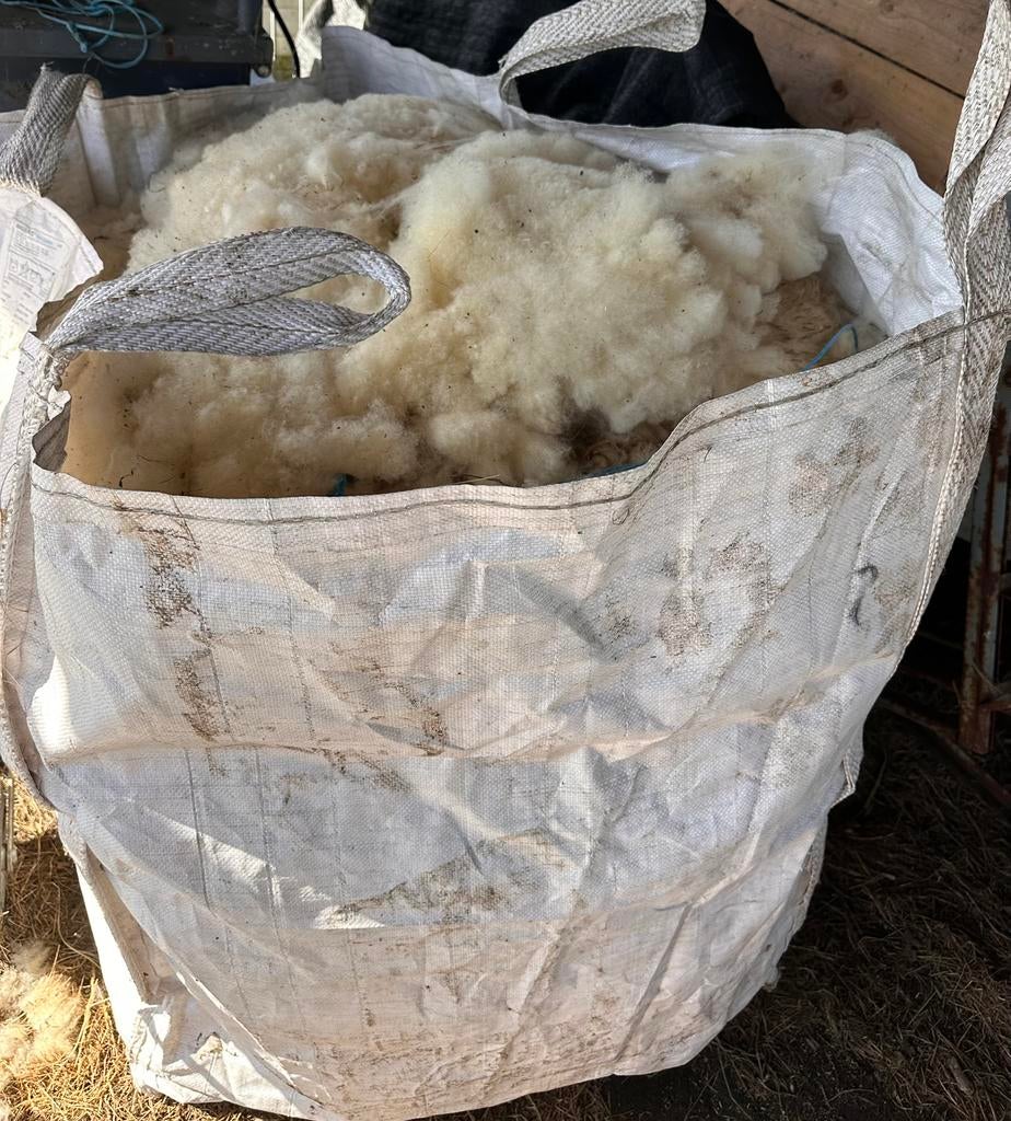 Big bag schapen wol, Meerdere dieren, Schaap