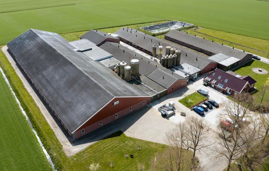 Werken met dieren? Word medewerker varkenshouderij (m/v)!, Vacatures