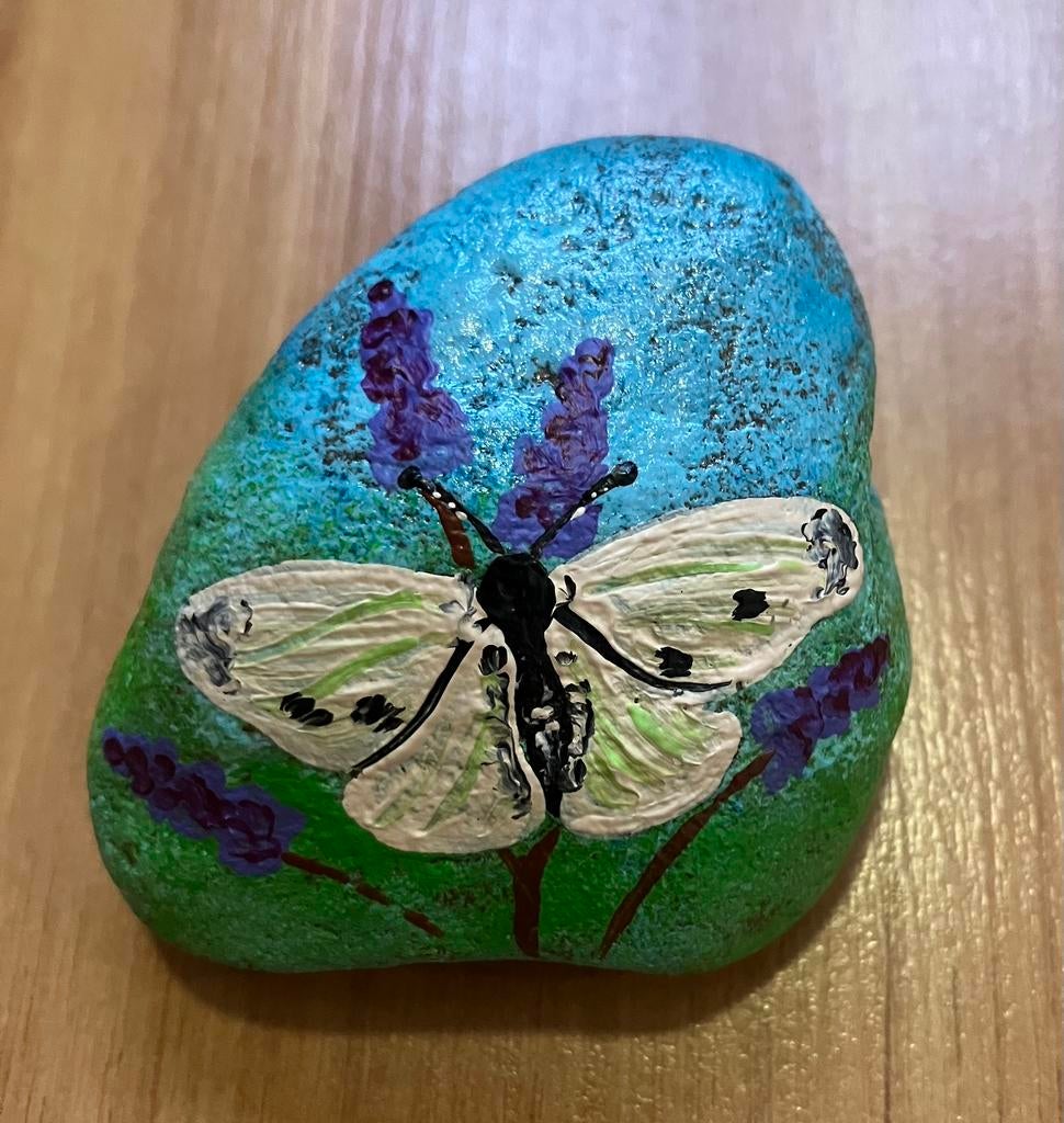 Beschilderde steen koolwitje, Ophalen of Verzenden