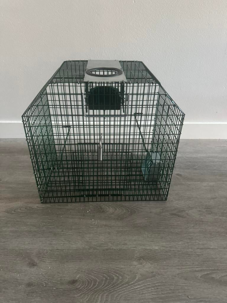 Vangkooi voor ratten en mussen, Dieren en Toebehoren, Ophalen, Nieuw