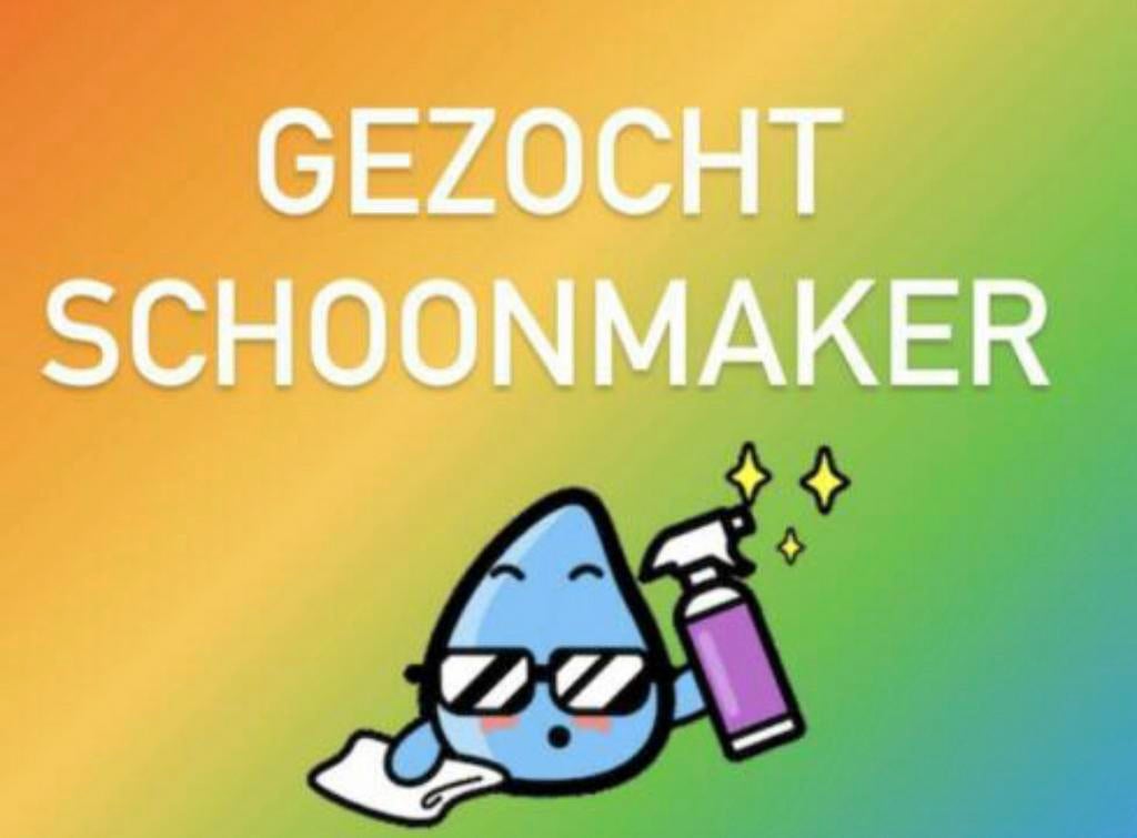 Schoonmaker gezocht Zoetermeer, Schoonmaken woning