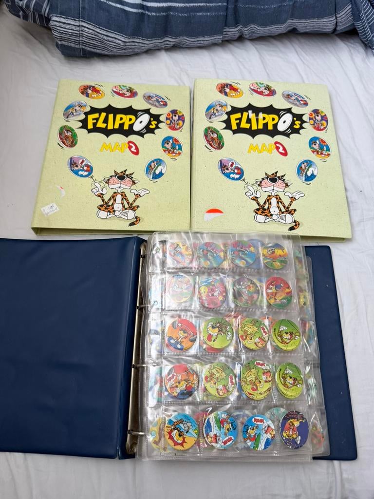 Duizenden flippo’s, Ophalen of Verzenden, Spiek