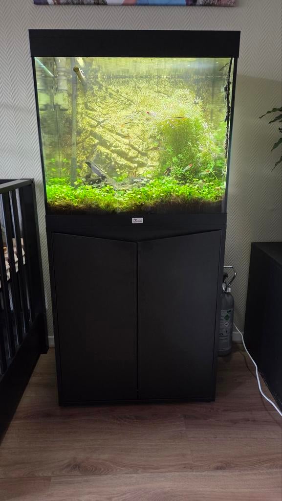 Aquatlantis Volga 120, Dieren en Toebehoren, Vissen | Aquaria en Toebehoren, Ophalen, Zo goed als nieuw, Gevuld zoetwateraquarium