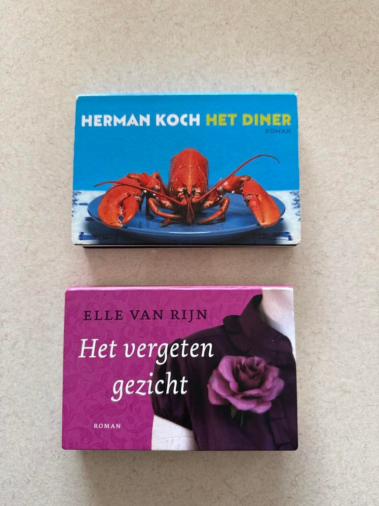 Dwarsligger Romans - Nette Staat, Boeken, Ophalen of Verzenden, Zo goed als nieuw, Nederland