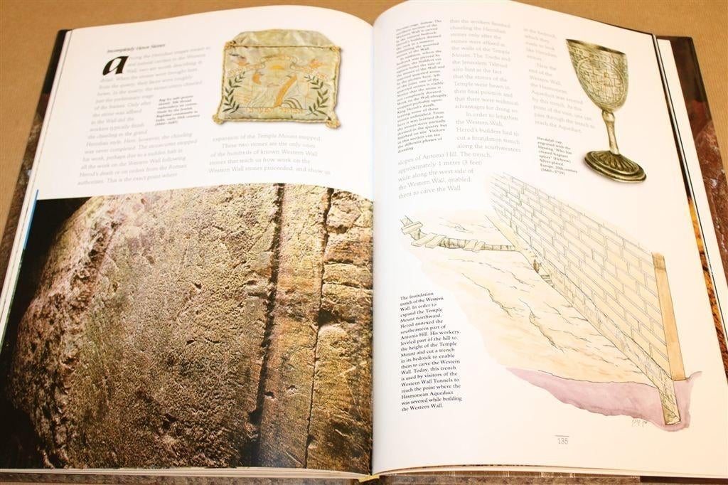 Klaagmuur Tunnels Jeruzalem — Archeologie [EN], Boeken, Ophalen of Verzenden, Zo goed als nieuw, Europa