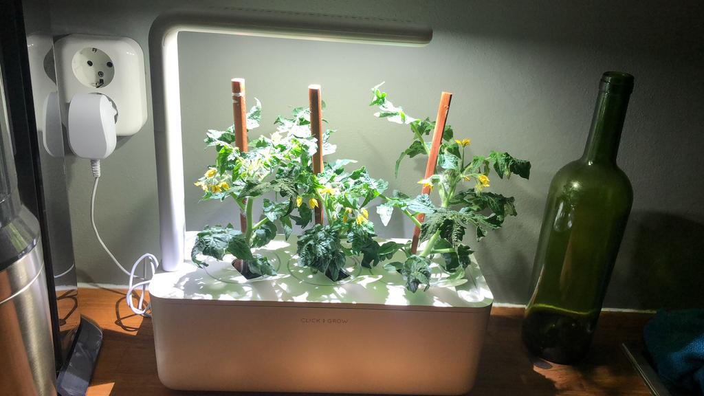 Click & Grow smart garden, Tuin en Terras, Kweekspullen, Ophalen, Zo goed als nieuw, Kweeklamp