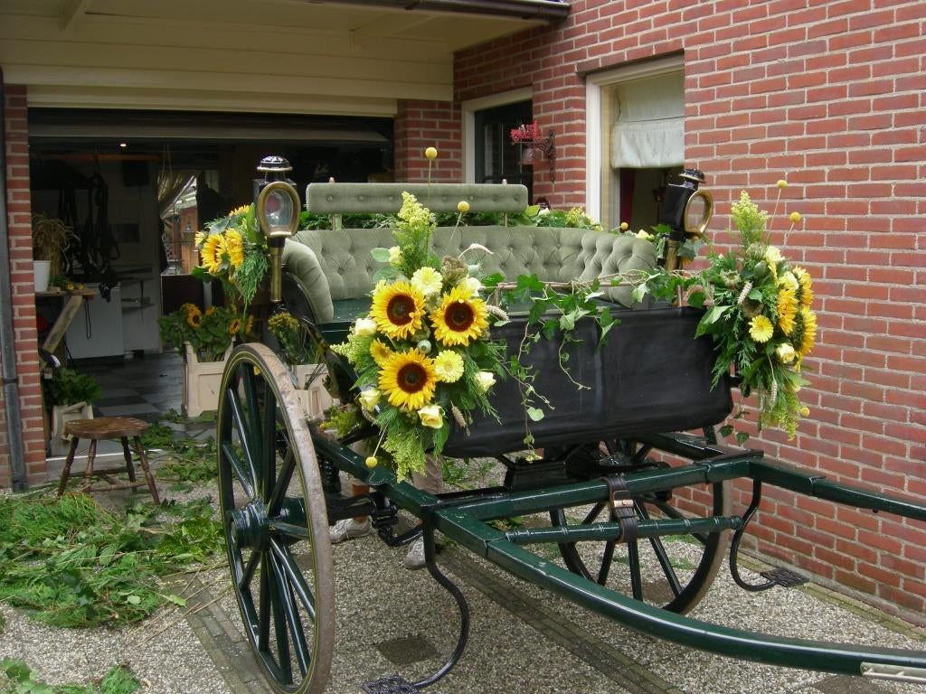 Mooie Sjees te koop, Ophalen, Gebruikt, Recreatie