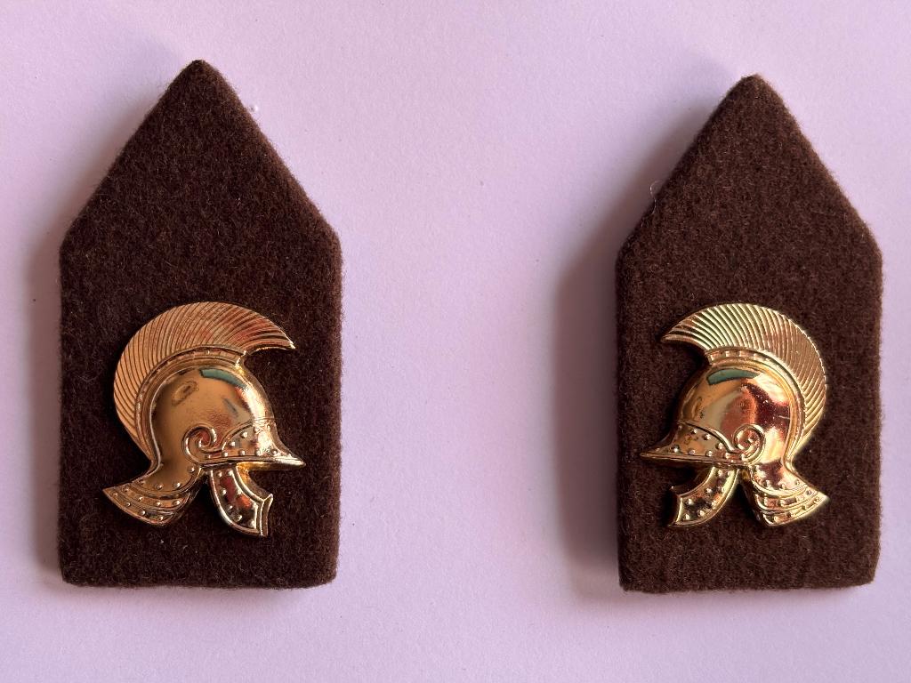 Set kraag emblemen Genie, Verzenden, Landmacht, Nederland, Kleding of Schoenen