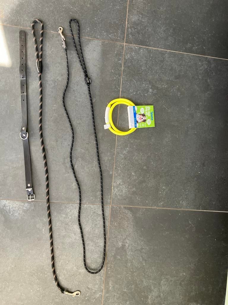 2x Lijn, 1x halsband, neon band NIEUW, Ophalen, Nieuw, Hondenriem