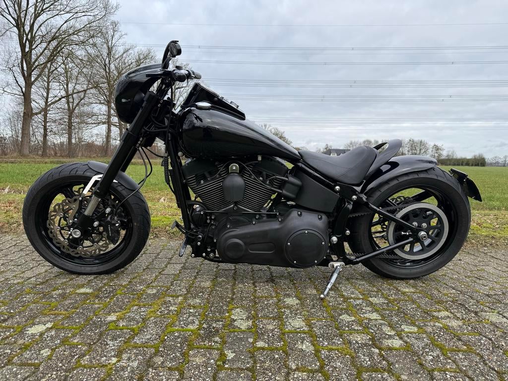 Harley Davidson 1600 Twin Cam 2008 - foto 2