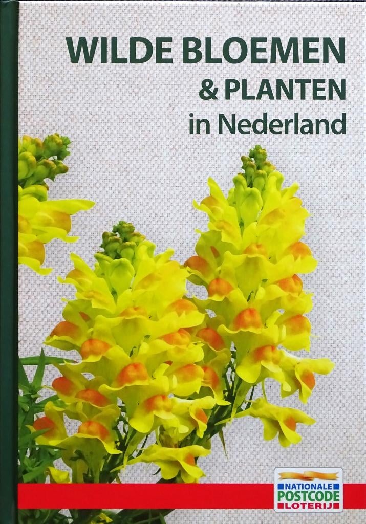 WILDE BLOEMEN & PLANTEN IN NEDERLAND – 4de ITEM GRATIS, Trijnie Stoker, Bloemen, Planten en Bomen, Nieuw, Ophalen of Verzenden