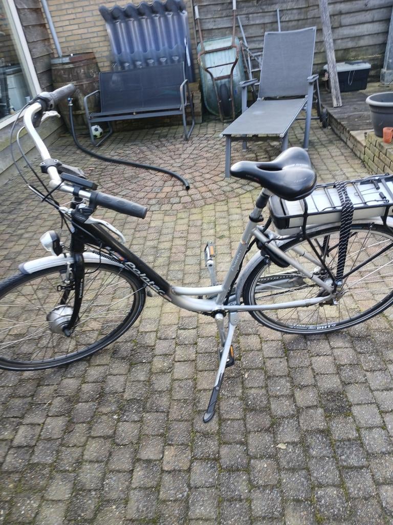 Pointer e,farta, 47 tot 51 cm, Ophalen, Gebruikt, Overige merken