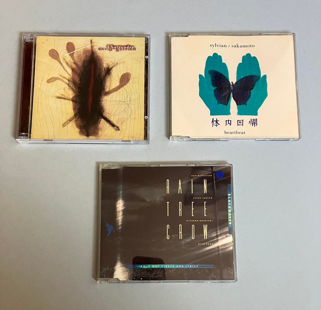 3 x David Sylvian, Cd's en Dvd's, Ophalen of Verzenden, Zo goed als nieuw