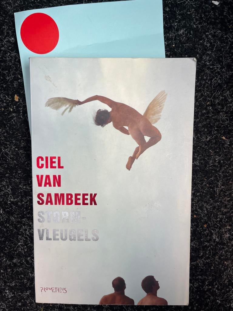 Ciel van Sambeek - Storm-Vleugels (Boek), Ophalen of Verzenden, Zo goed als nieuw, Nederland