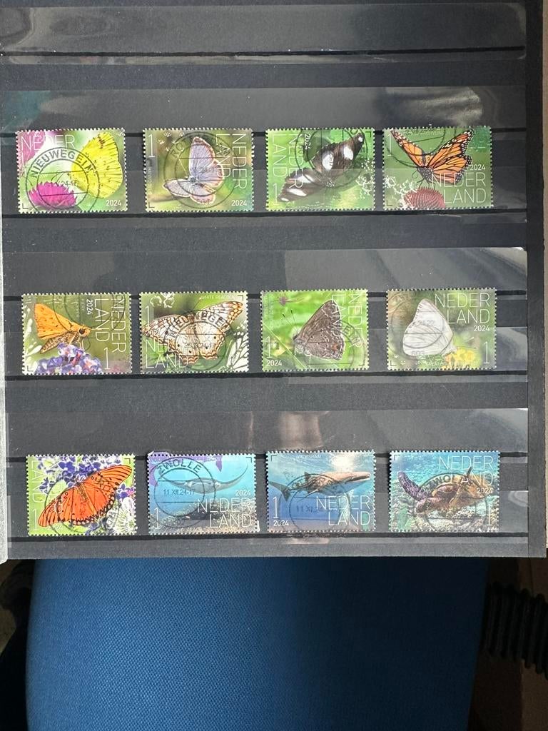 Nederland 12, Verzenden