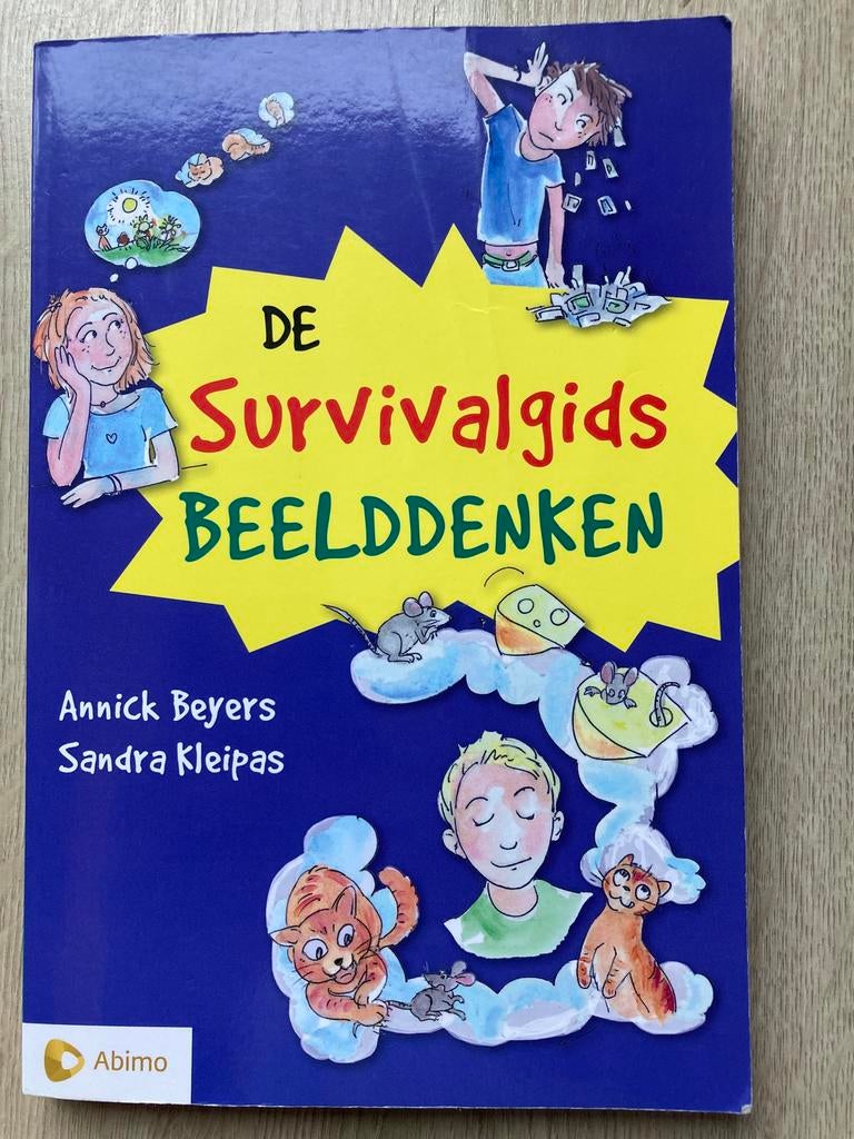 Annick Beyers - De survivalgids beelddenken, Annick Beyers; Sandra Kleipas, Ophalen of Verzenden, Zo goed als nieuw, Nederlands